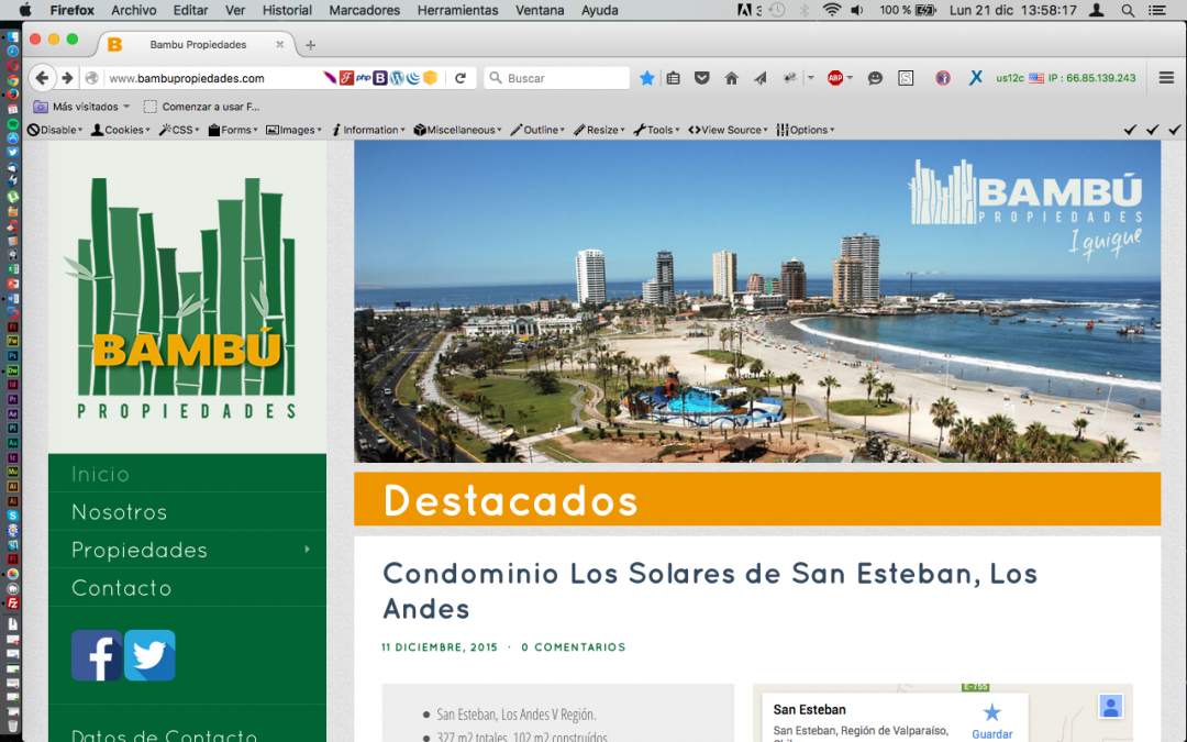 Sitio Web «Bambú Propiedades»
