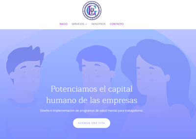 Sitio web – Consultora nuevo amanecer